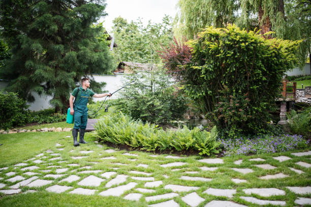 Best Pest Control for Homes  in Chanhassen, MN