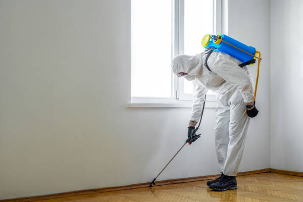 Best Affordable Pest Control Services  in Chanhassen, MN