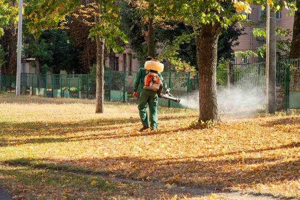 Best Termite Control Services  in Chanhassen, MN
